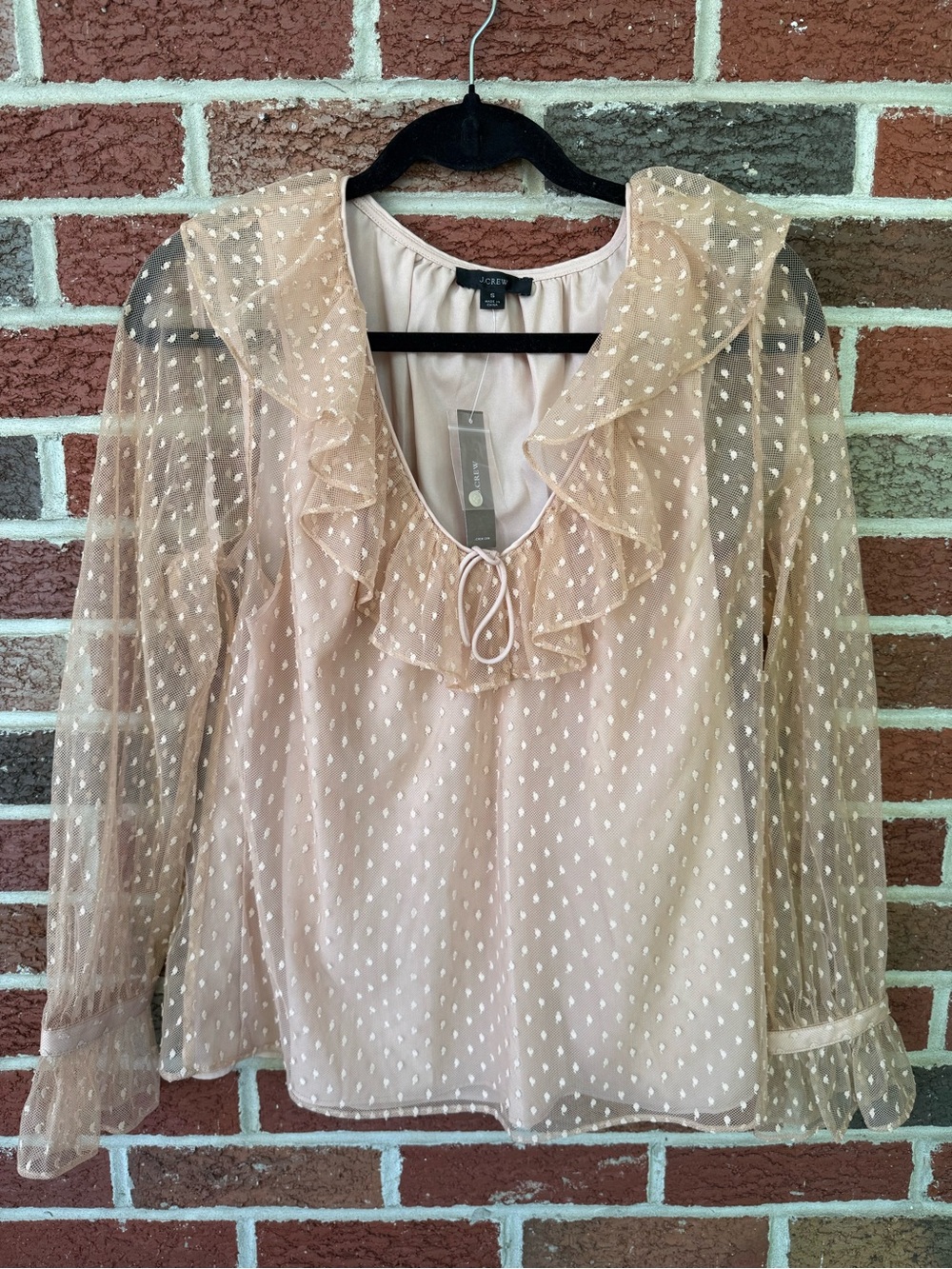 Brand New J. Crew Women's Sheer Ruffle Tie-Neck Blouse - Blush